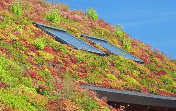 Askham Bryan living roof systems