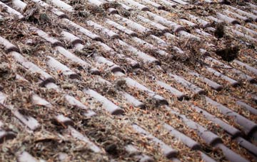 Askham Bryan roof cleaning companies