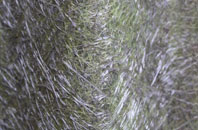 Askham Bryan fibreglass roof work